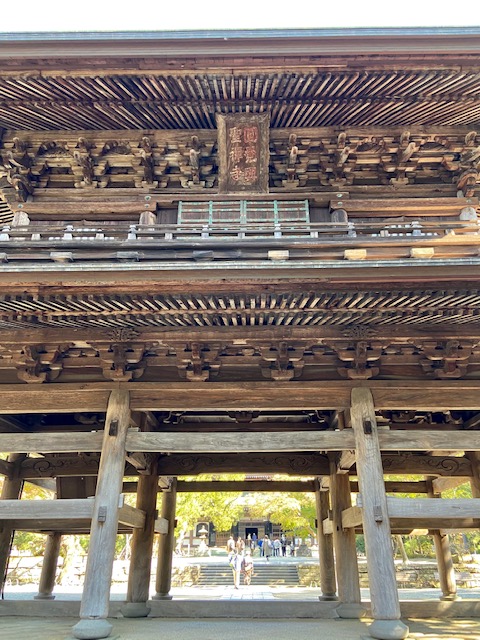 f:id:hiro-37:20201126124744j:plain
