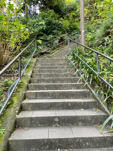 f:id:hiro-37:20201126232740j:plain