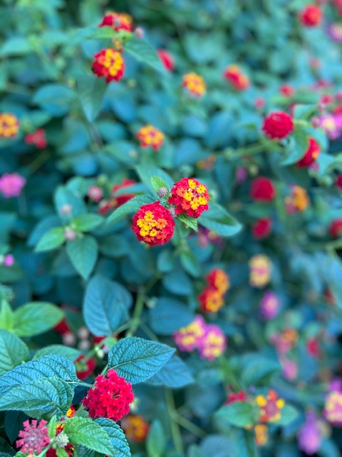 f:id:hiro-37:20201127125542j:plain