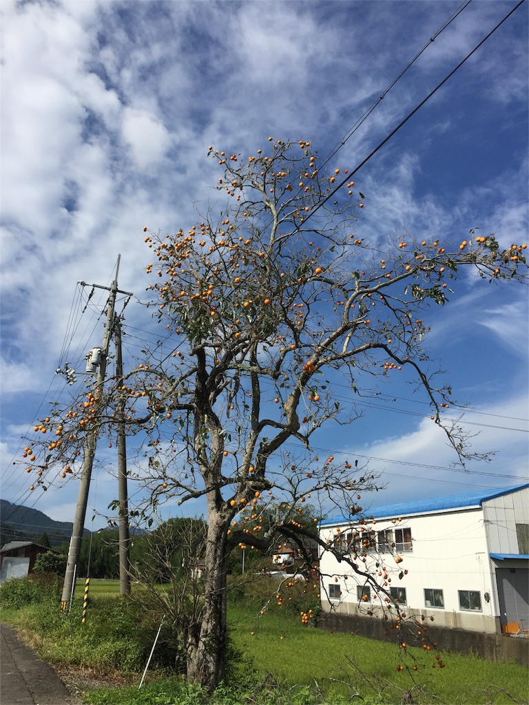 f:id:hiro-asamiya:20161019172309j:image