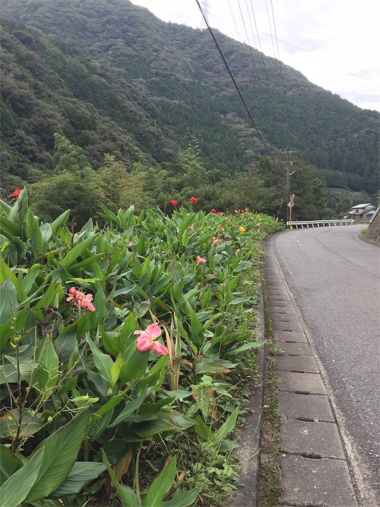 f:id:hiro-asamiya:20161019174608j:image
