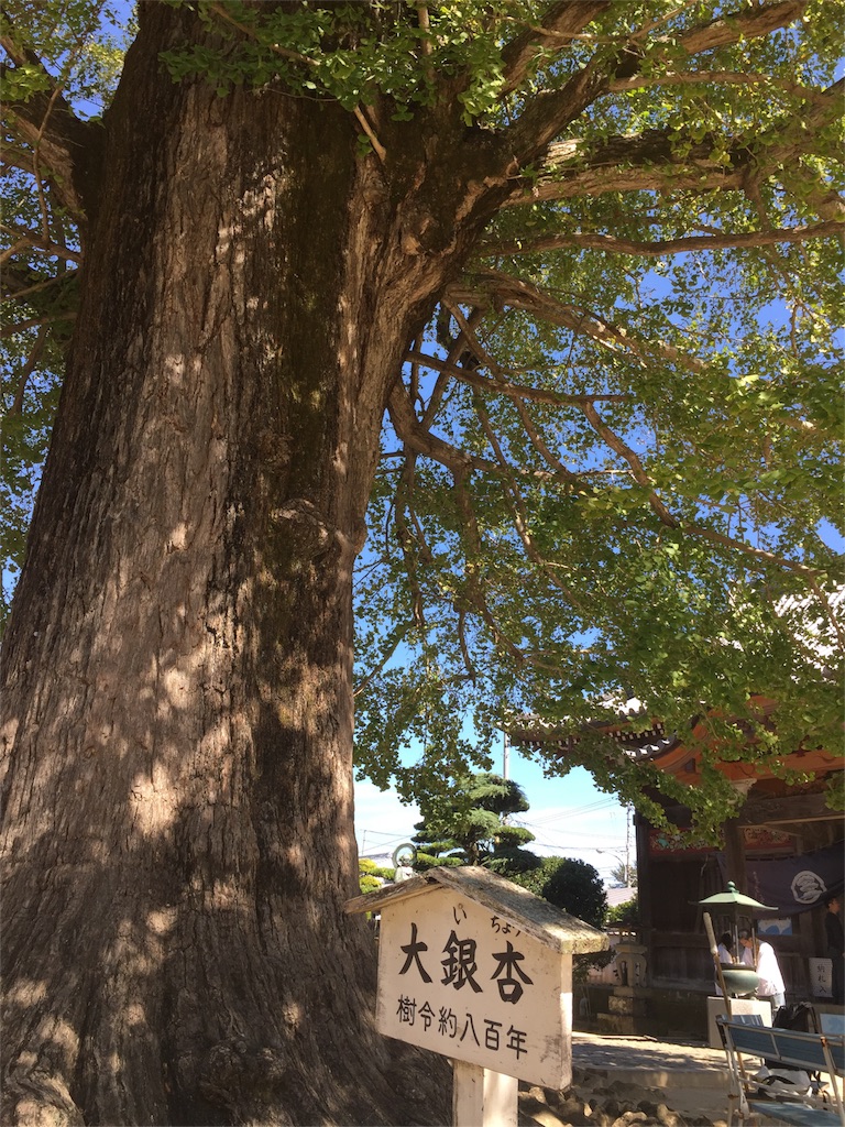 f:id:hiro-asamiya:20161023164458j:image