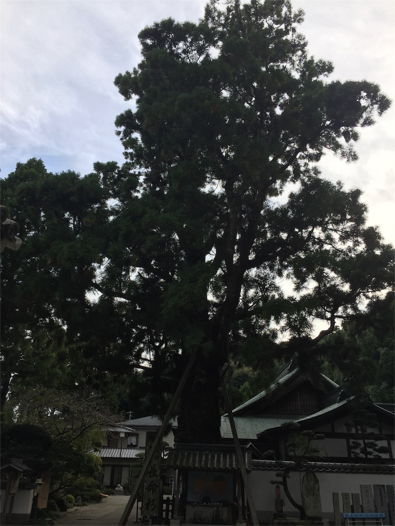 f:id:hiro-asamiya:20161023174020j:image