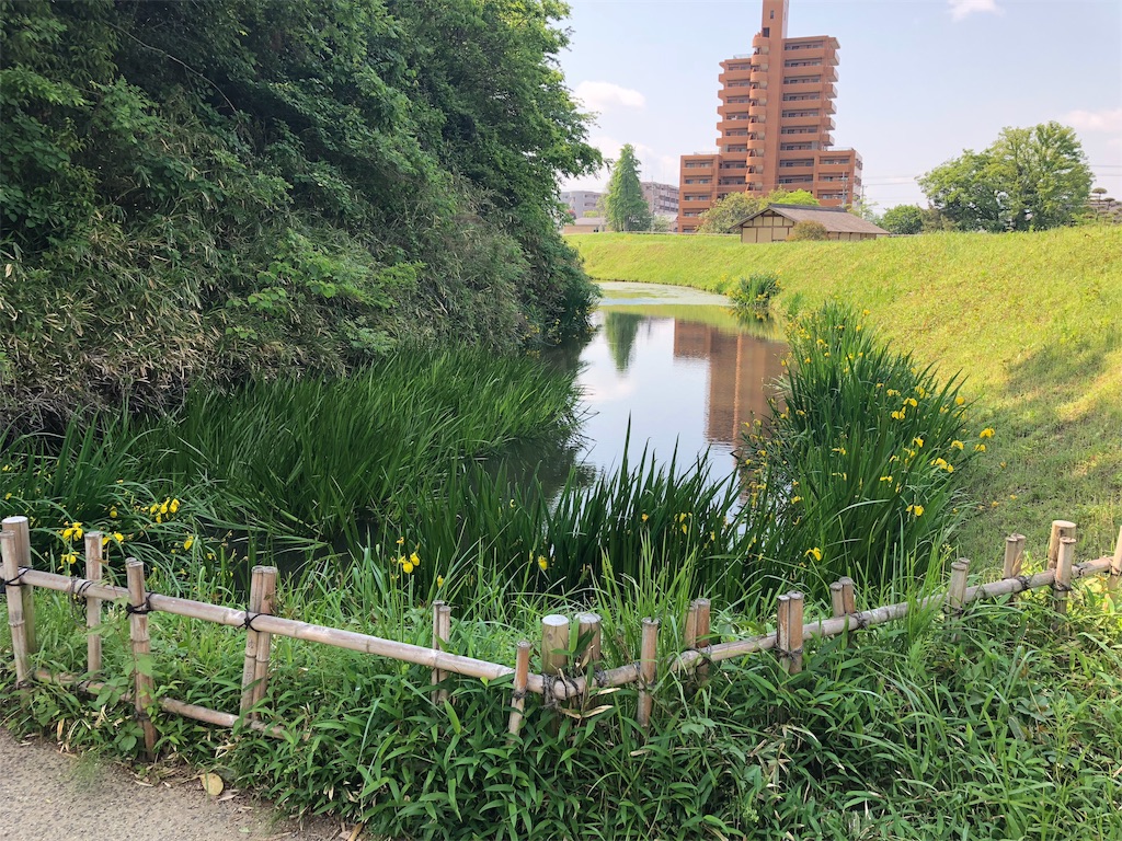 f:id:hiro-asamiya:20190527151856j:image