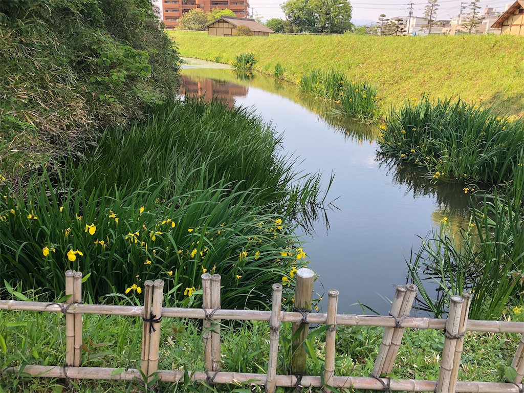 f:id:hiro-asamiya:20190527151859j:image