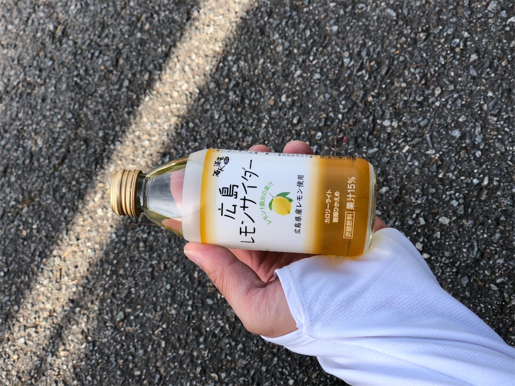 f:id:hiro-asamiya:20190527162824j:image