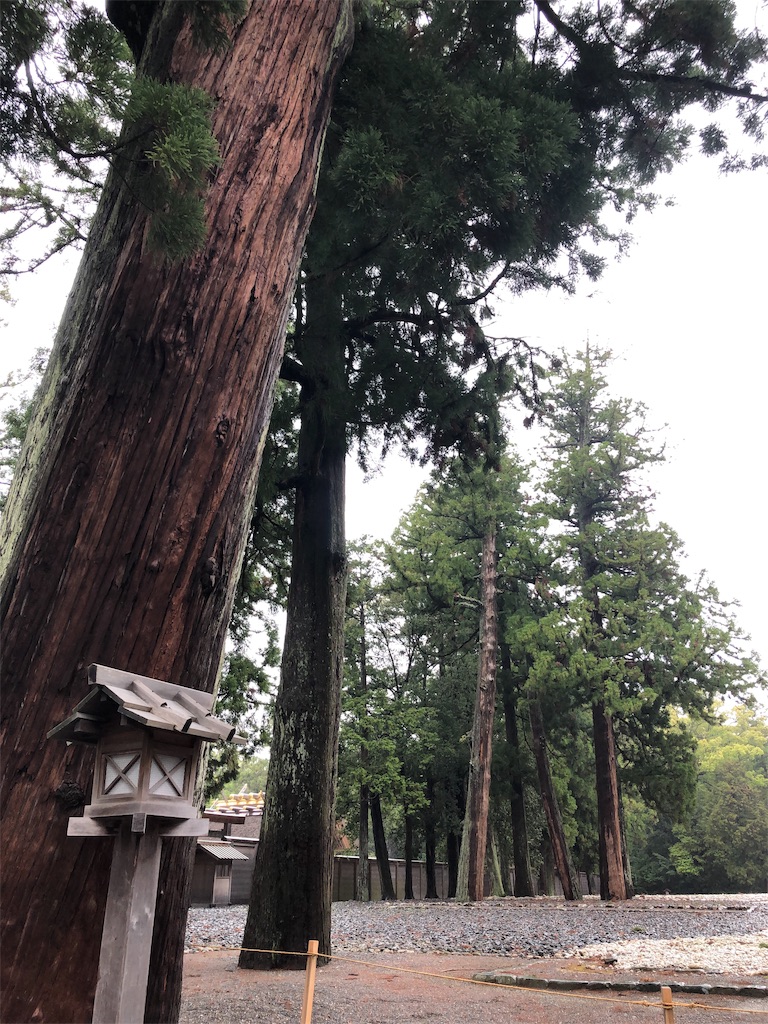 f:id:hiro-asamiya:20190613124844j:image