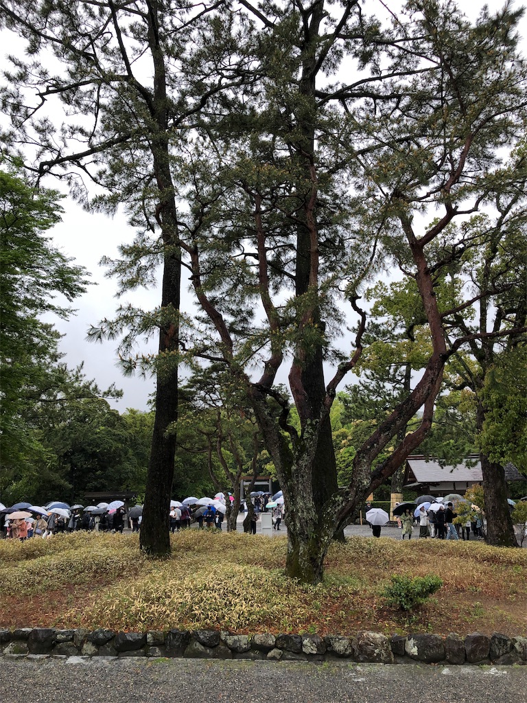 f:id:hiro-asamiya:20190613124853j:image
