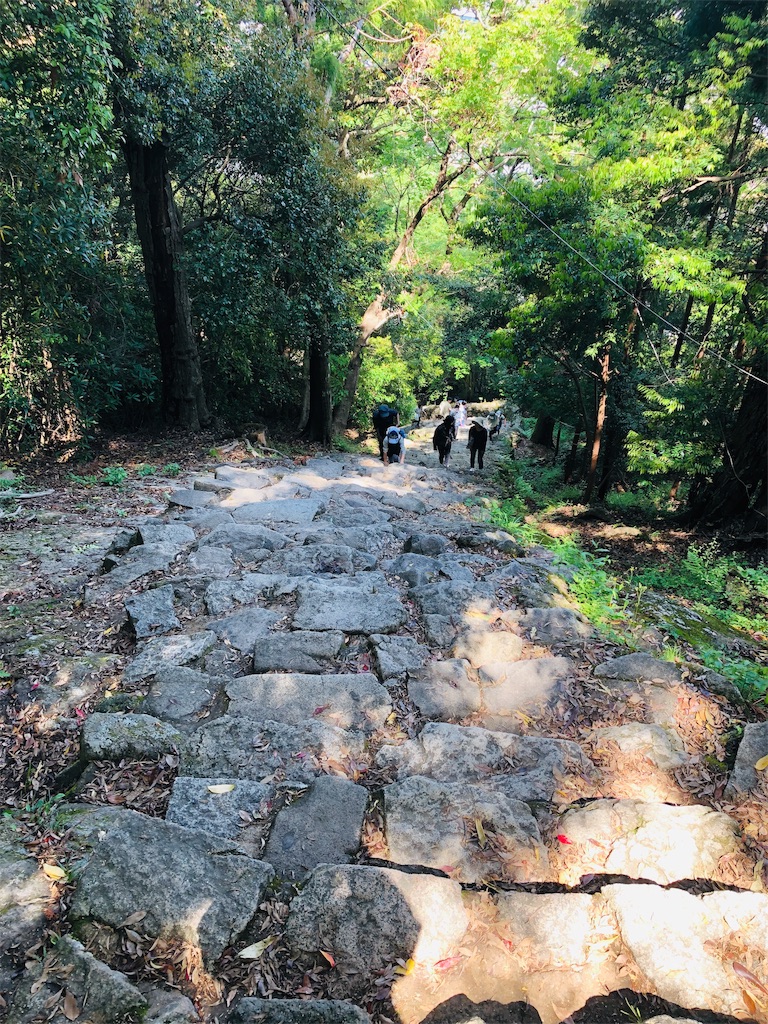 f:id:hiro-asamiya:20190623175739j:image