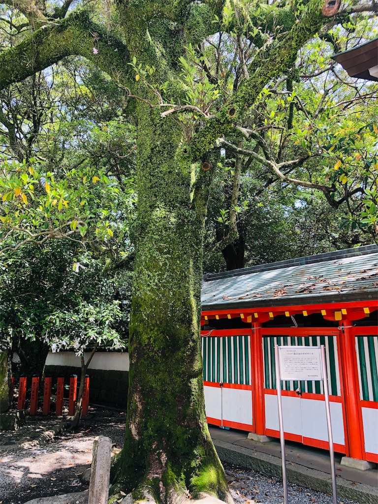 f:id:hiro-asamiya:20190623175751j:image