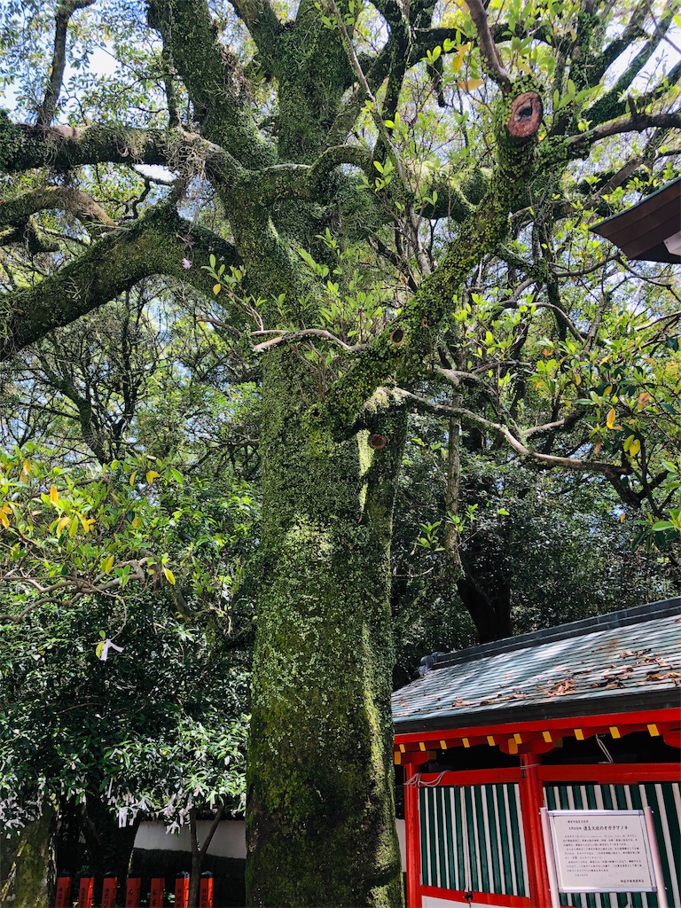 f:id:hiro-asamiya:20190623175817j:image