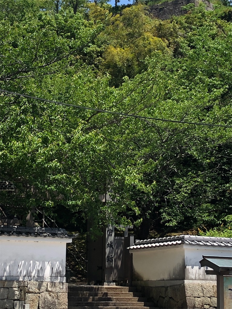 f:id:hiro-asamiya:20190623175846j:image