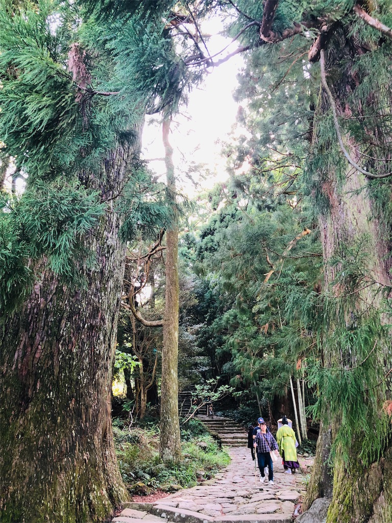 f:id:hiro-asamiya:20190623175917j:image