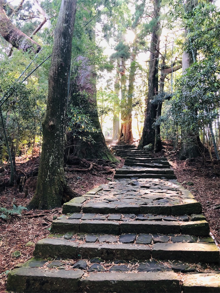 f:id:hiro-asamiya:20190623180105j:image