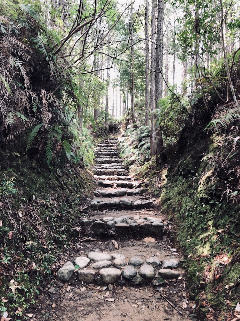 f:id:hiro-asamiya:20190703113531j:image f:id:hiro-asamiya:20190703113531j:image
