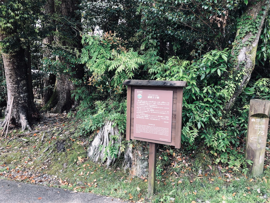 f:id:hiro-asamiya:20190703113544j:image f:id:hiro-asamiya:20190703113544j:image