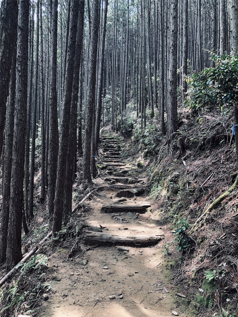 f:id:hiro-asamiya:20190703113650j:image f:id:hiro-asamiya:20190703113650j:image