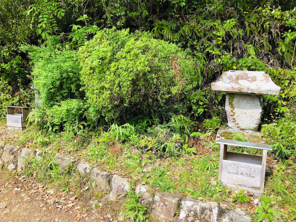 f:id:hiro-asamiya:20190703113707j:image f:id:hiro-asamiya:20190703113707j:image