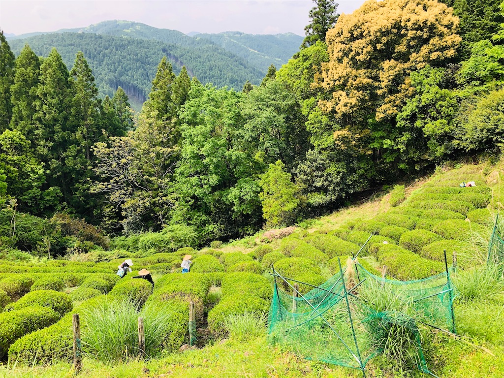 f:id:hiro-asamiya:20190703113802j:image f:id:hiro-asamiya:20190703113802j:image
