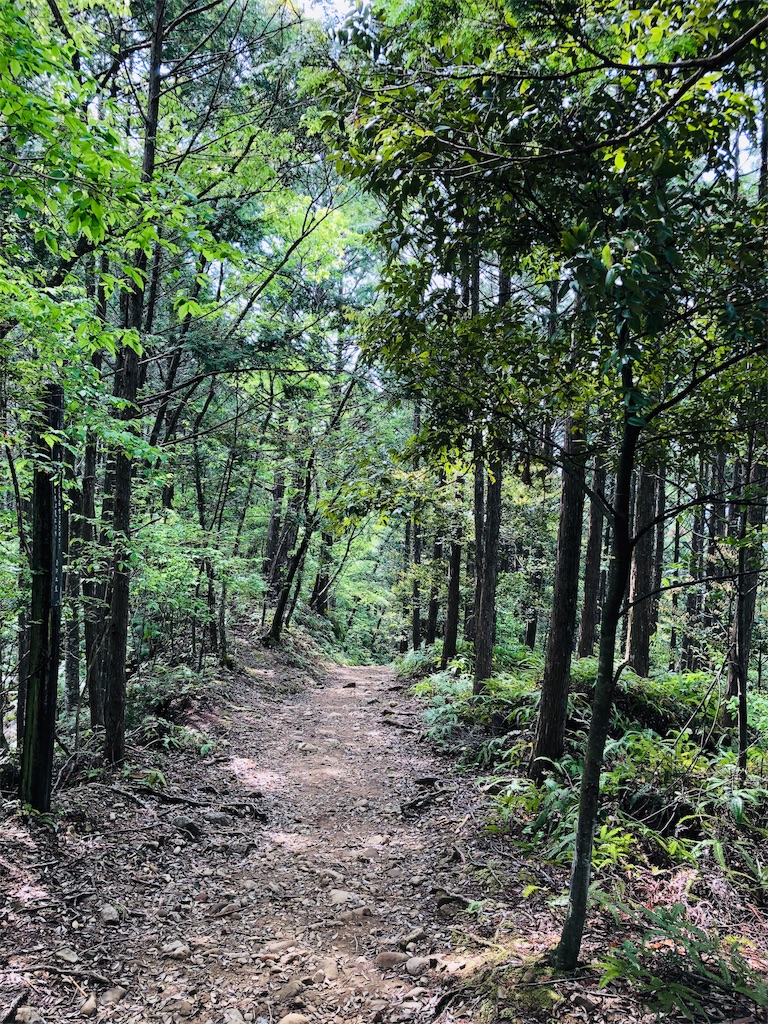 f:id:hiro-asamiya:20190703113838j:image f:id:hiro-asamiya:20190703113838j:image
