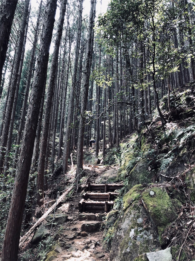 f:id:hiro-asamiya:20190703113914j:image f:id:hiro-asamiya:20190703113914j:image