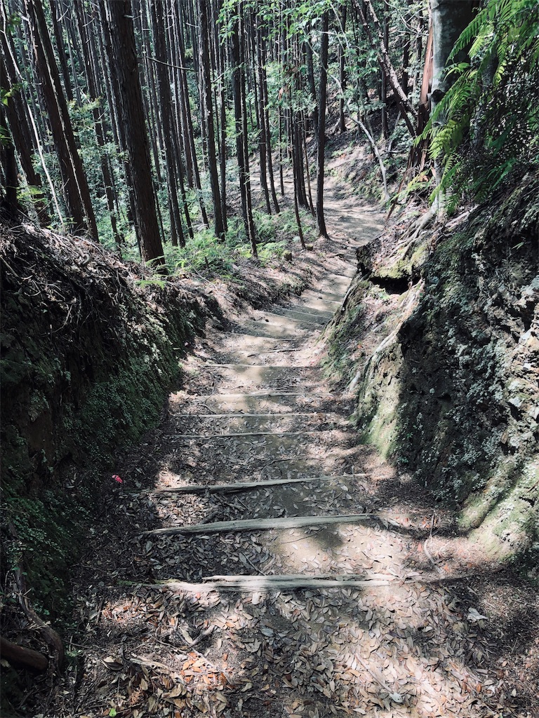 f:id:hiro-asamiya:20190703114002j:image f:id:hiro-asamiya:20190703114002j:image