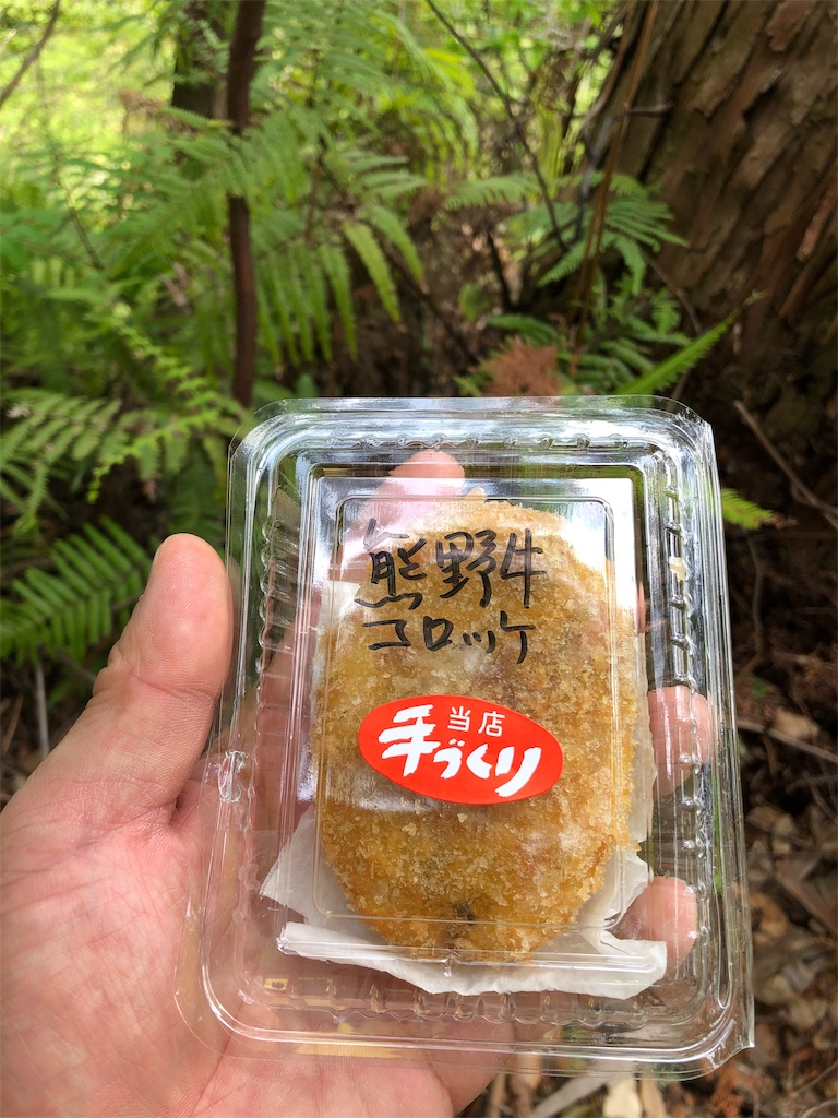 f:id:hiro-asamiya:20190703114020j:image f:id:hiro-asamiya:20190703114020j:image
