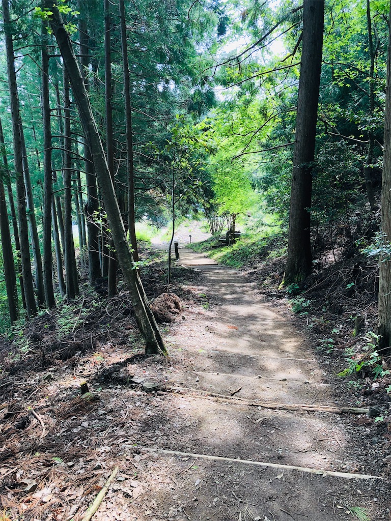 f:id:hiro-asamiya:20190703114026j:image f:id:hiro-asamiya:20190703114026j:image
