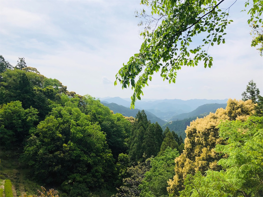f:id:hiro-asamiya:20190703114043j:image f:id:hiro-asamiya:20190703114043j:image