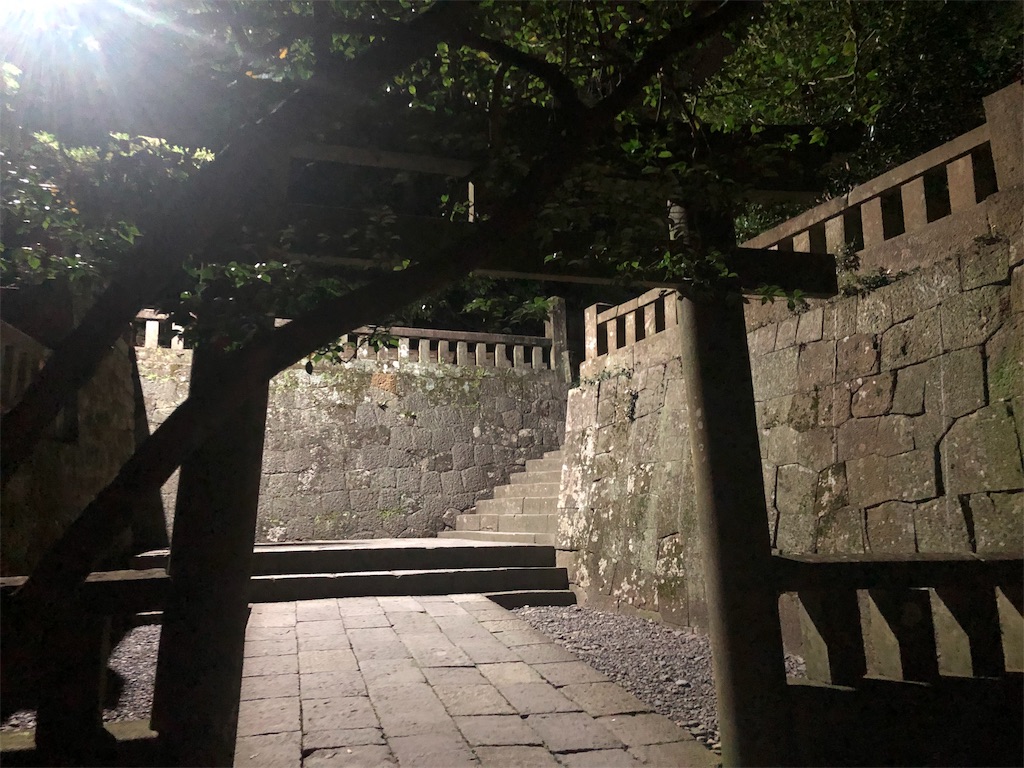f:id:hiro-asamiya:20190704132637j:image
