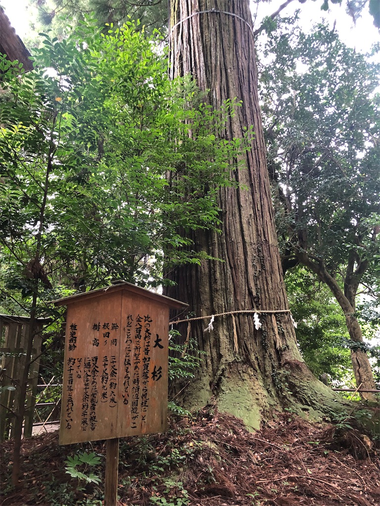 f:id:hiro-asamiya:20190902125256j:image