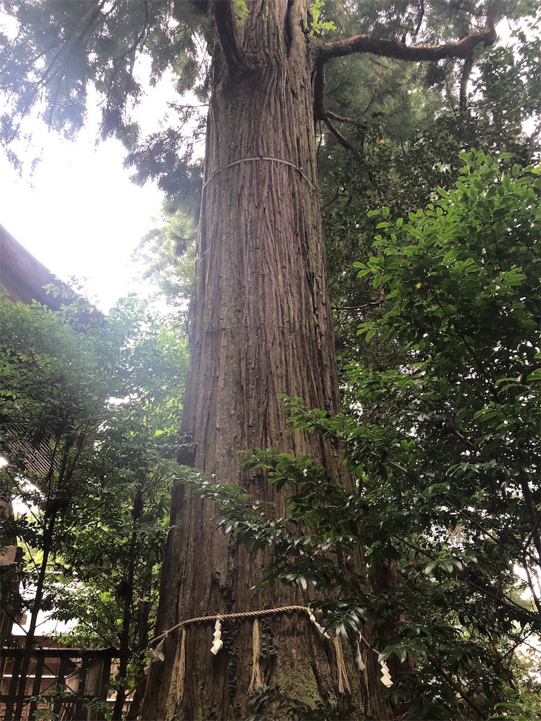 f:id:hiro-asamiya:20190902125528j:image
