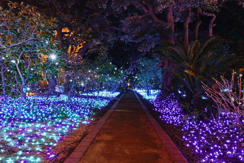 f:id:hiro-asamiya:20220124112725j:plain