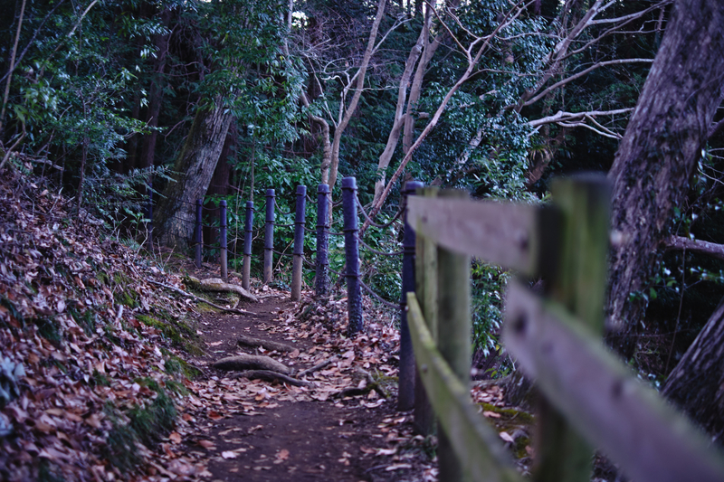 f:id:hiro-asamiya:20220228193556j:plain