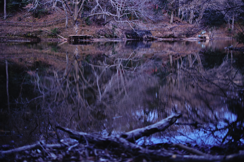 f:id:hiro-asamiya:20220228193604j:plain