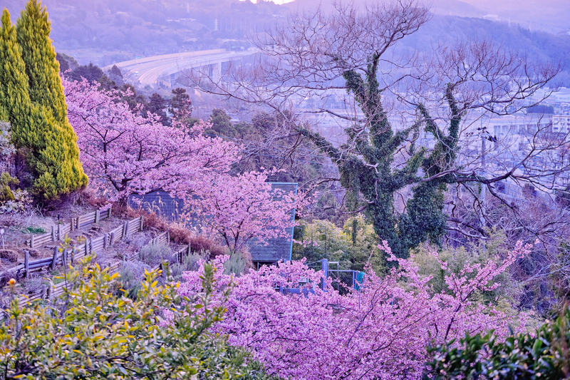 f:id:hiro-asamiya:20220320152109j:plain