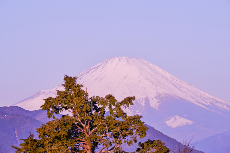 f:id:hiro-asamiya:20220320152416j:plain