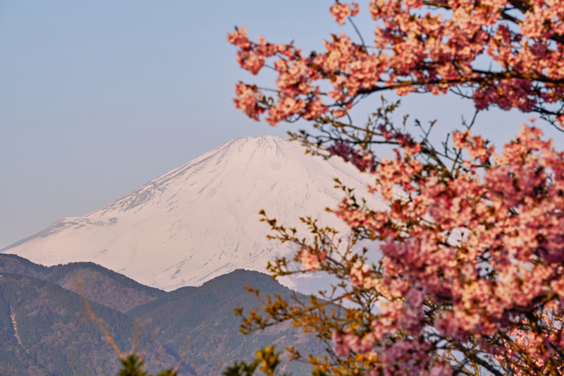 f:id:hiro-asamiya:20220320153302j:plain