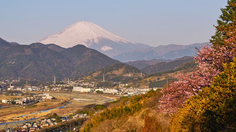 f:id:hiro-asamiya:20220320153319j:plain