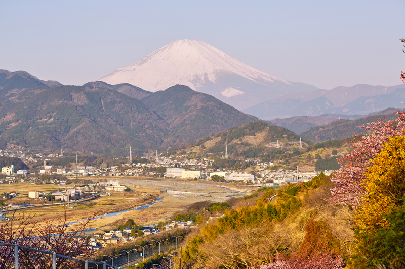 f:id:hiro-asamiya:20220320153325j:plain