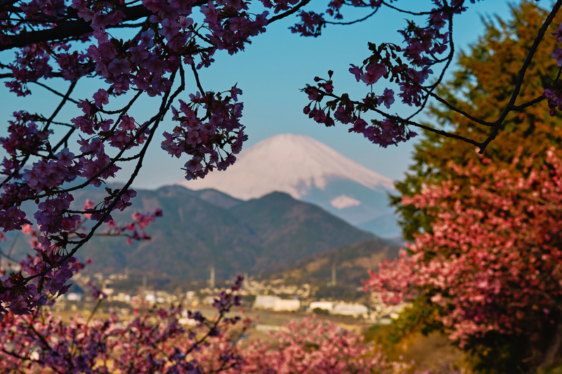 f:id:hiro-asamiya:20220320153347j:plain