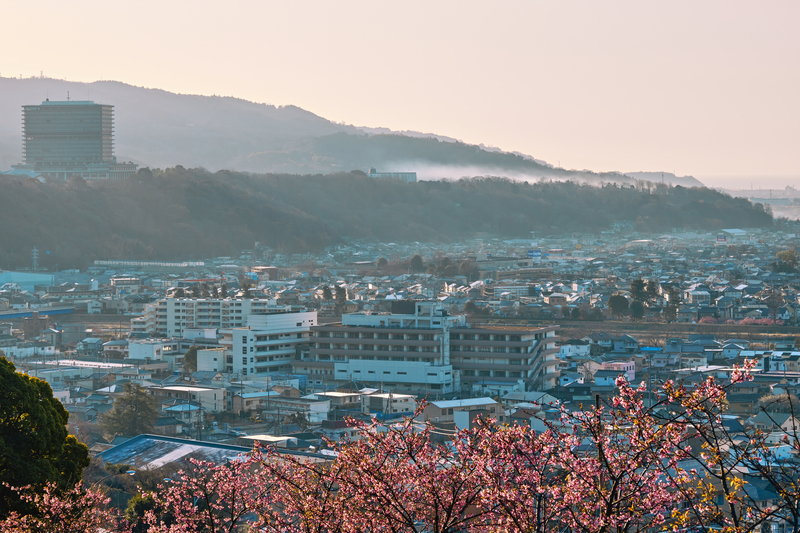 f:id:hiro-asamiya:20220320153411j:plain