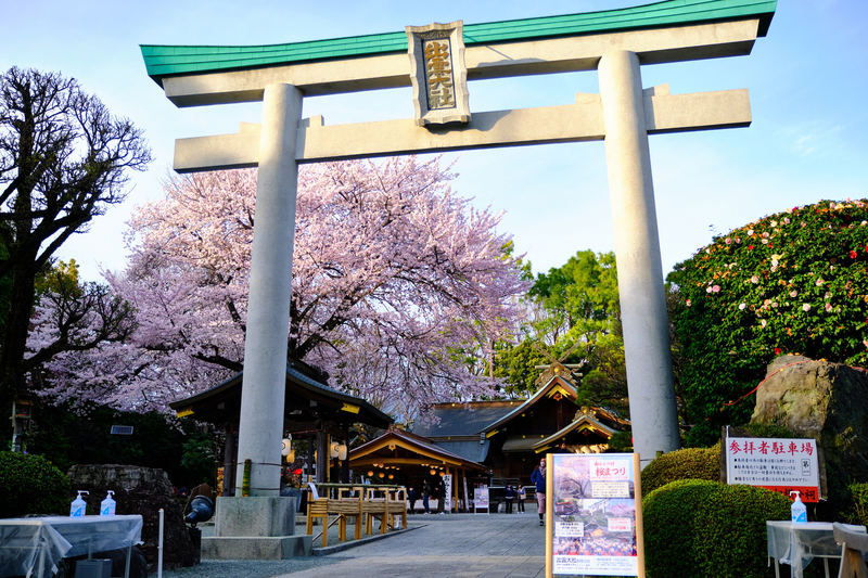 f:id:hiro-asamiya:20220404150859j:plain