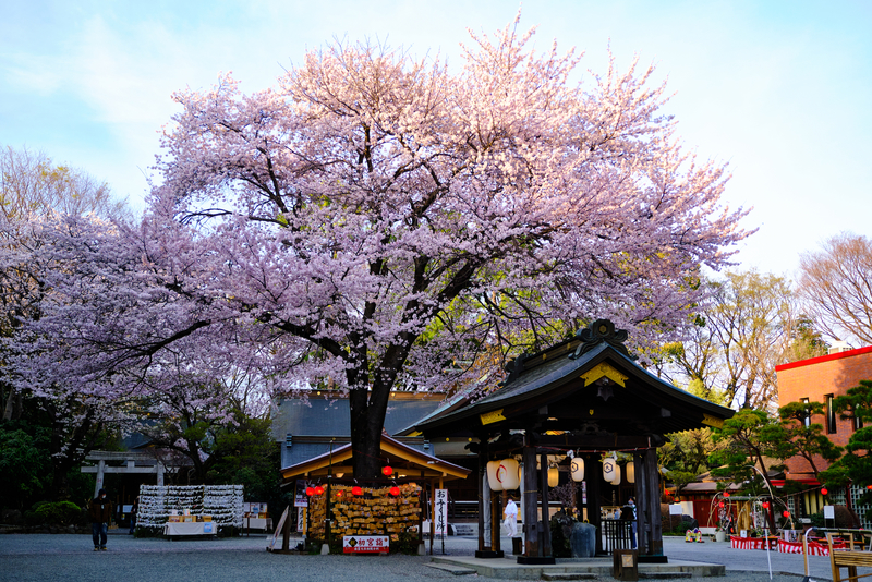 f:id:hiro-asamiya:20220404150940j:plain