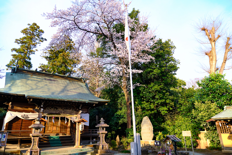 f:id:hiro-asamiya:20220404150952j:plain