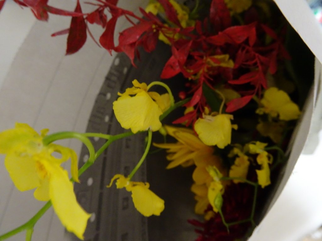 f:id:hiro-beans-attack-no1:20171001215135j:plain