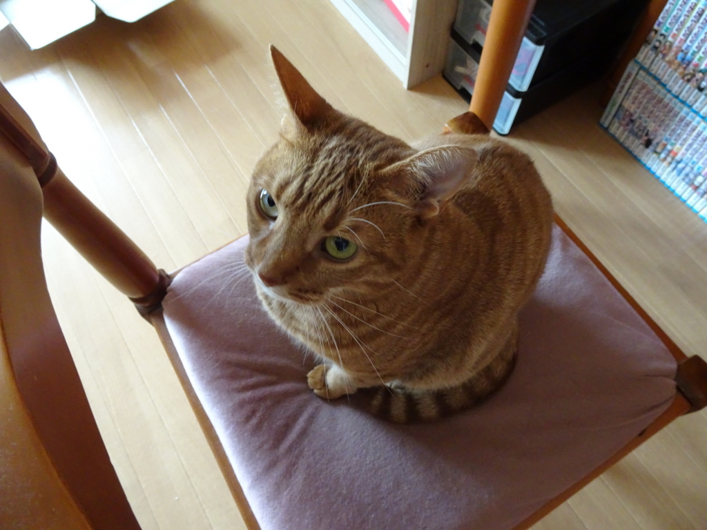 f:id:hiro-beans-attack-no1:20171007122114j:plain