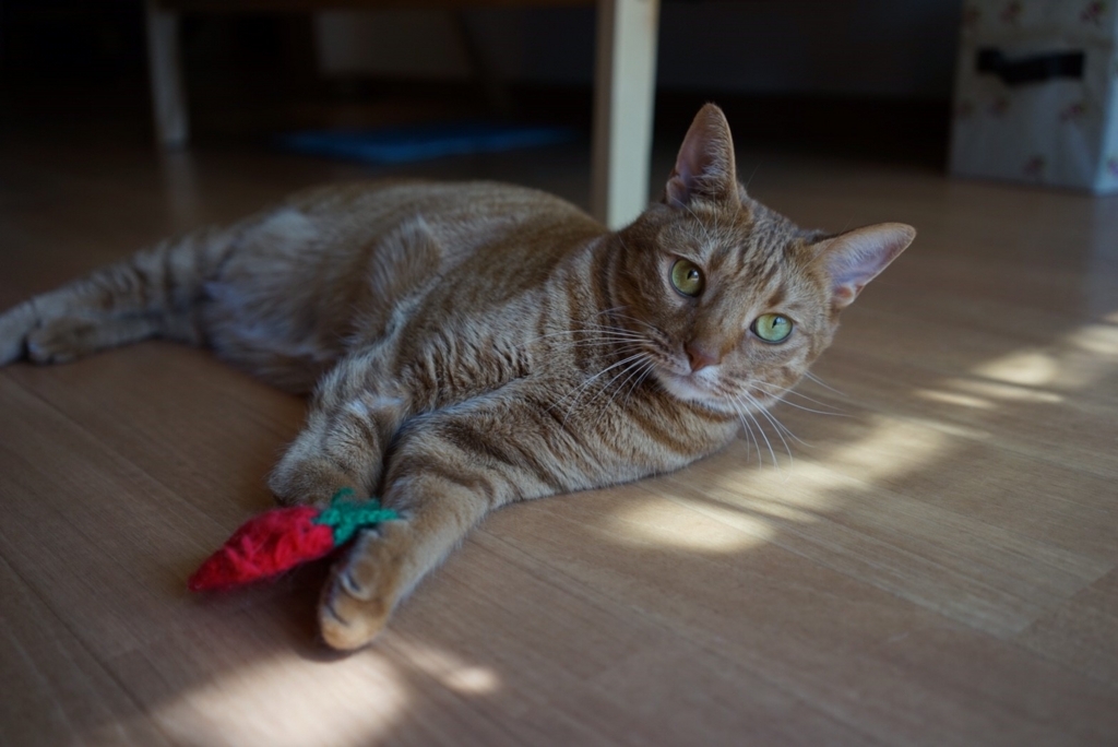f:id:hiro-beans-attack-no1:20171009194427j:plain