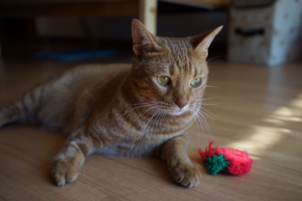 f:id:hiro-beans-attack-no1:20171009194742j:plain