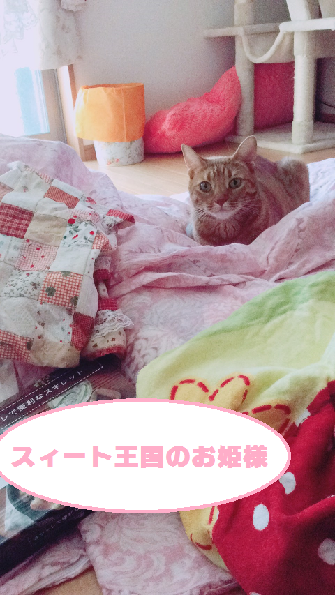 f:id:hiro-beans-attack-no1:20171112101413p:plain